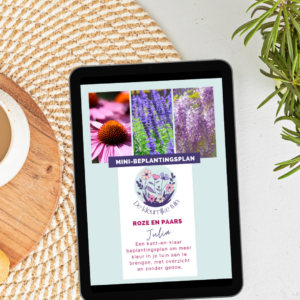 Mini-beplantingsplan 'Julia' (roze-paars)